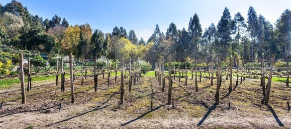 6 bedrooms House in Santo Tirso, Portugal No. 55743 20