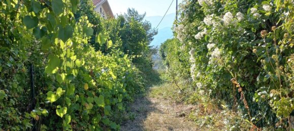 8815m² Land in L'Aquila, Italy No. 176674 4