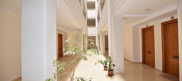 3 Schlafzimmer Wohnung in Torrevieja, Spain, Nr. 188720 28