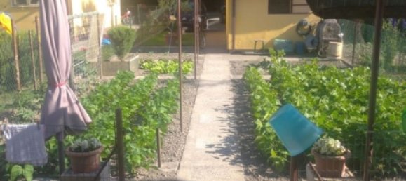 6-salle Appartement à Adria, Italy No. 255472 14