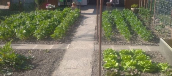 6-salle Appartement à Adria, Italy No. 255472 10