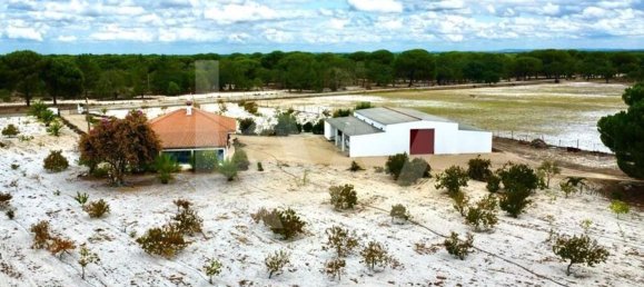 3 Schlafzimmer Haus in Torrao, Portugal, Nr. 68982 20