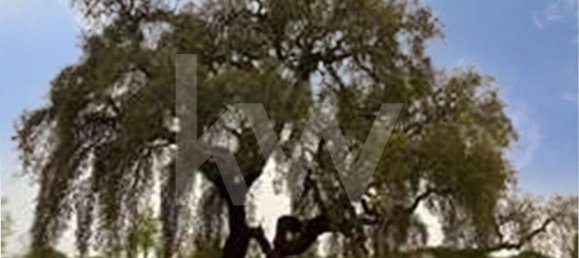 3 Schlafzimmer Haus in Torrao, Portugal, Nr. 68982 21