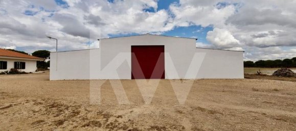 3 Schlafzimmer Haus in Torrao, Portugal, Nr. 68982 15