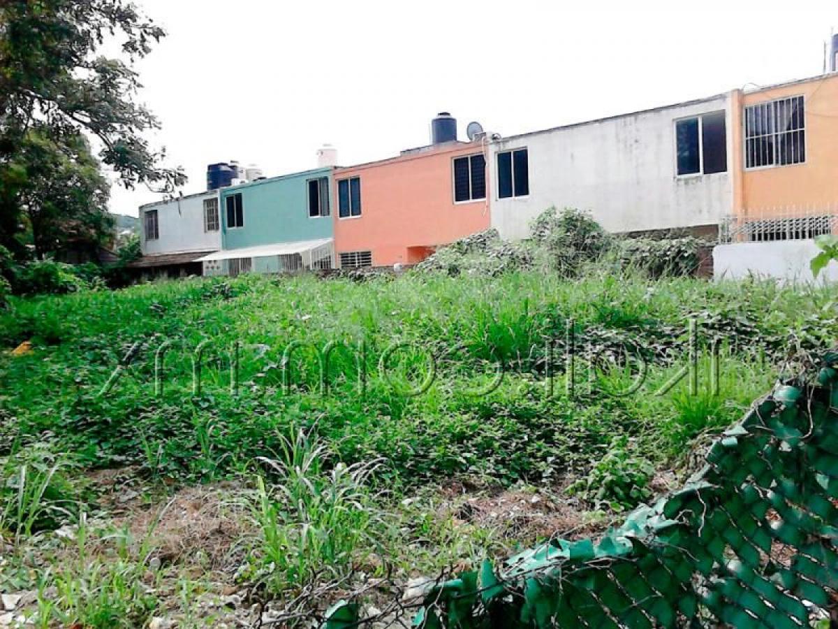  Land in Veracruz, Mexico No. 206681