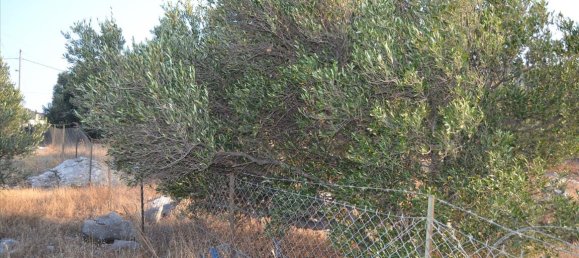 3000m² Hotel in Agios Nikolaos, Greece No. 6116 6