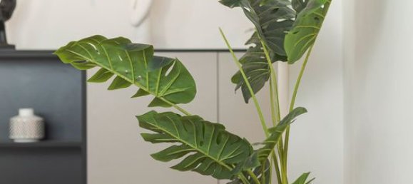 Apartamento T3 em Nantes, France N.º 337426 13