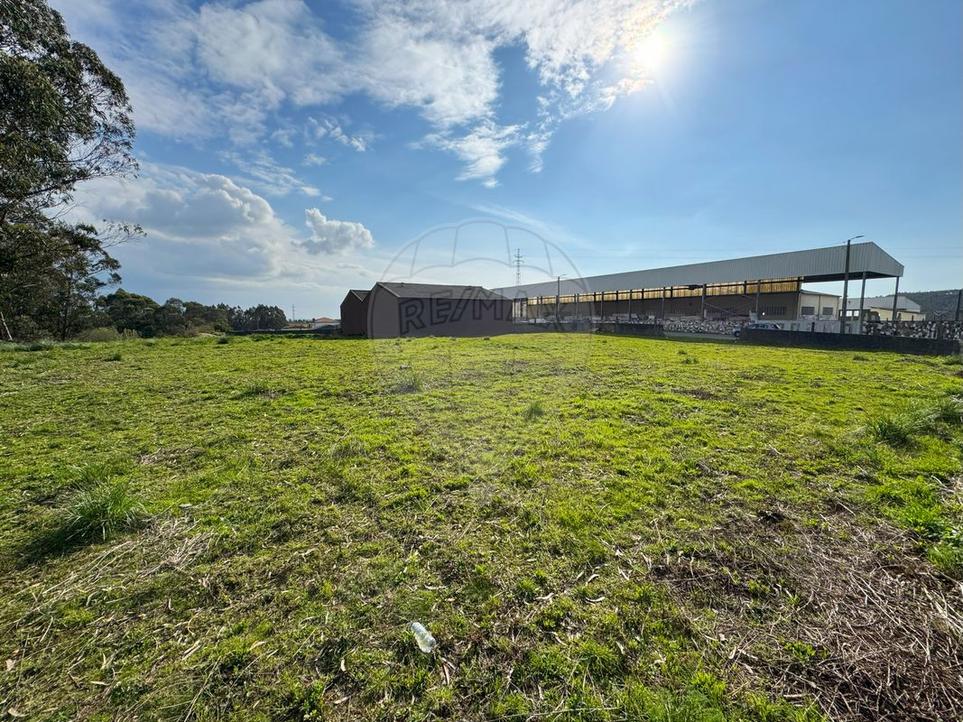 Terrain à Covelas, Portugal No. 38295