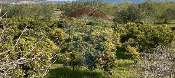 17040m² Land in Faro, Portugal No. 39886 9