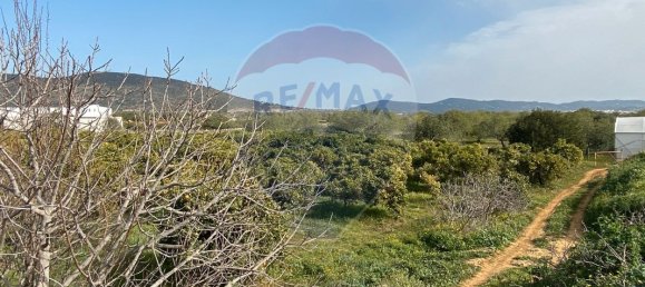 17040m² Land in Faro, Portugal No. 39886 5