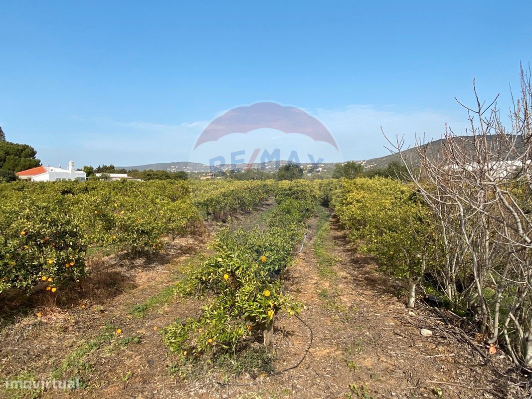 17040m² Land in Faro, Portugal No. 39886