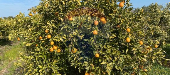 17040m² Land in Faro, Portugal No. 39886 10