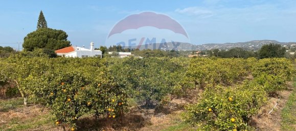 17040m² Land in Faro, Portugal No. 39886 8
