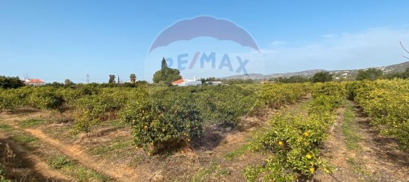 17040m² Land in Faro, Portugal No. 39886 7