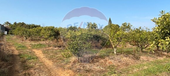 17040m² Land in Faro, Portugal No. 39886 6