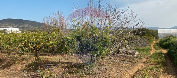 17040m² Land in Faro, Portugal No. 39886 3