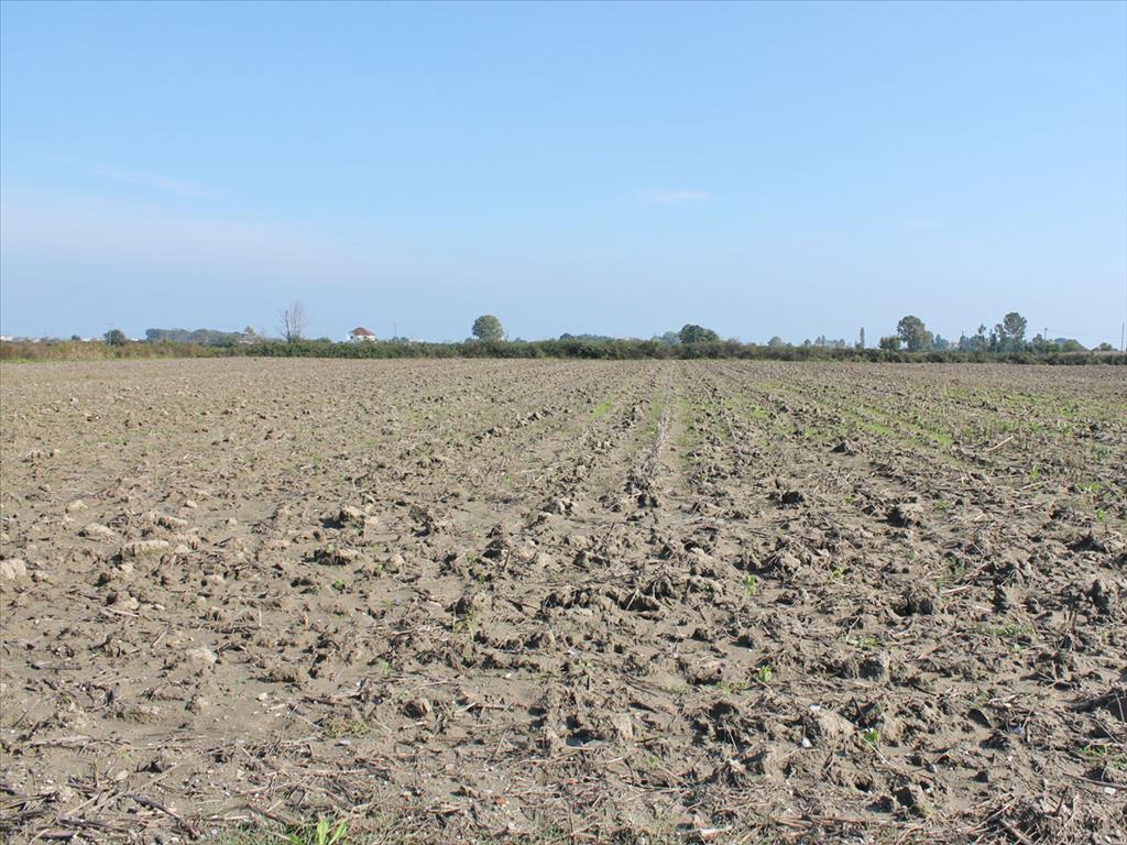 10000m² Hotel in Katerini, Greece No. 6892