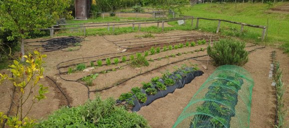 3غرفة منزل ذو طابقين في Rome, Italy رقم 44926 42