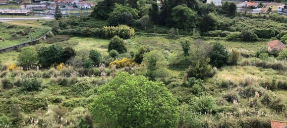 7 bedrooms House in Vila Nova de Gaia, Portugal No. 51017 23