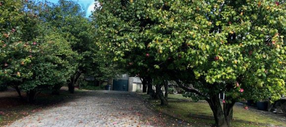 7 bedrooms House in Vila Nova de Gaia, Portugal No. 51017 16