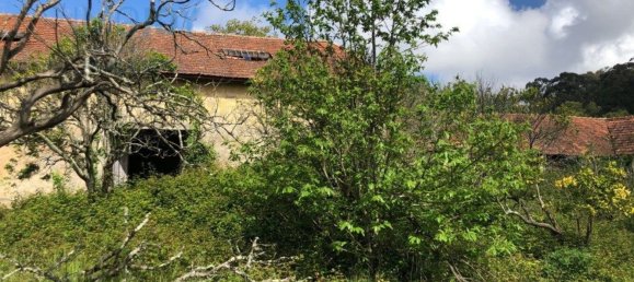 7 bedrooms House in Vila Nova de Gaia, Portugal No. 51017 32