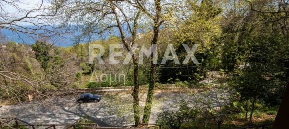 4 bedrooms Commercial property in Mouresi, Greece No. 766 23