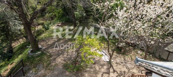 4 غرف نوم منزل في Mouresi, Greece رقم 766 24