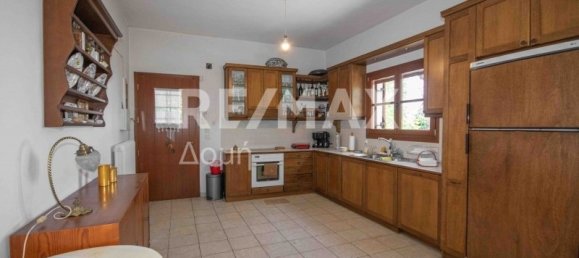 4 bedrooms Commercial property in Mouresi, Greece No. 766 13