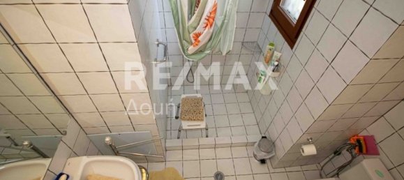 4 bedrooms Commercial property in Mouresi, Greece No. 766 21