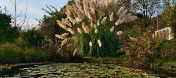 Дом с 4 комнатами в Еннерсдорф, Австрия № 149692 5