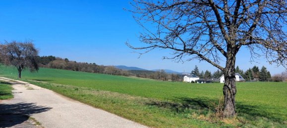 6-Zimmer Haus in Hernstein, Austria, Nr. 140282 9