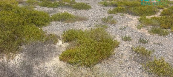 650.4m² Land in Ras Al Khaimah, UAE No. 54425 6