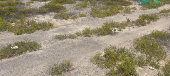 650.4m² Land in Ras Al Khaimah, UAE No. 54425 3