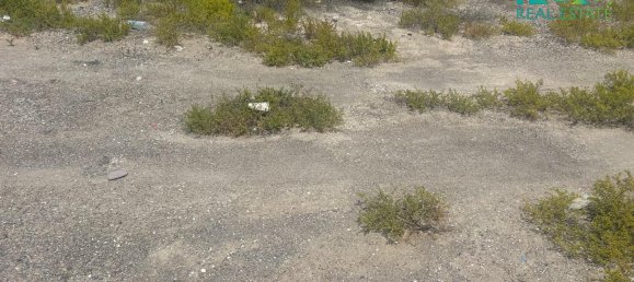 650.4m² Land in Ras Al Khaimah, UAE No. 54425 4