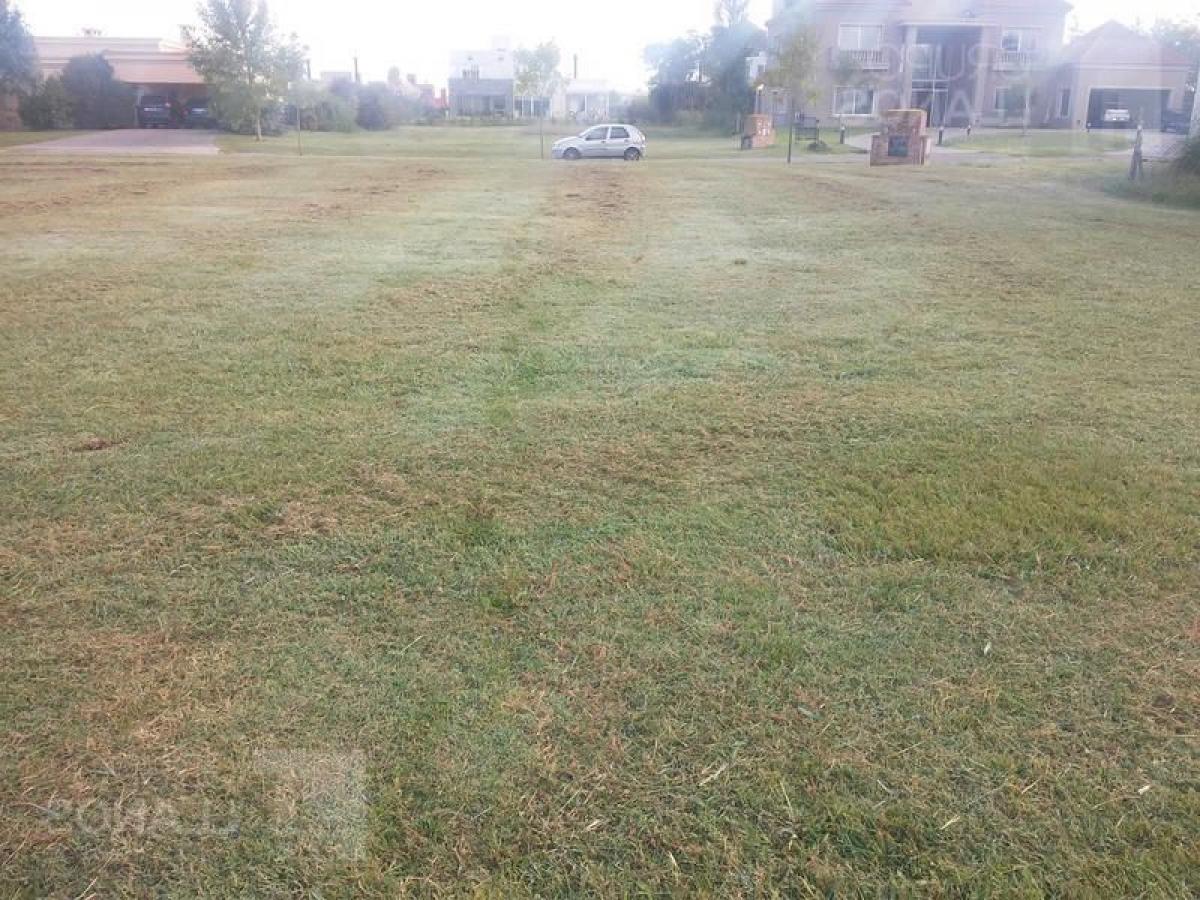  Land in Buenos Aires, Argentina No. 113660