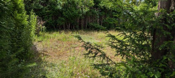 Terreno em Brandenburg, Germany N.º 108724 8