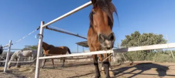 1 bedroom House in La Zubia, Spain No. 174567 21