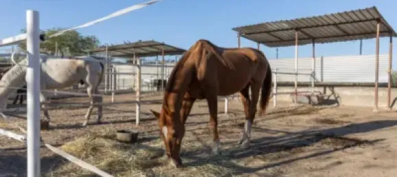 1 bedroom House in La Zubia, Spain No. 174567 22