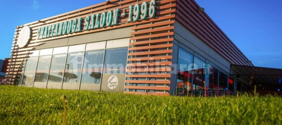 5 rooms Commercial property in Pomezia, Italy No. 317275 17