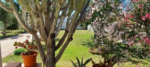 3-salle Villa à Syracuse, Italy No. 250459 9