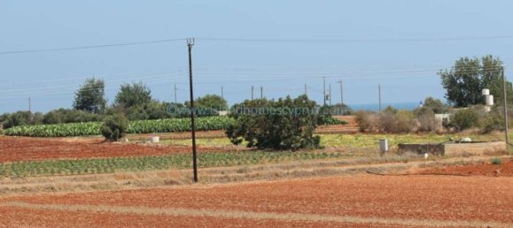 5 bedrooms House in Ayia Napa, Cyprus No. 23822 11