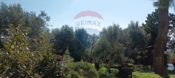 2 bedrooms Villa in Piombino, Italy No. 82763 12