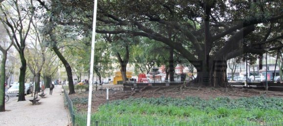 1 Schlafzimmer Wohnung in Lisbon, Portugal, Nr. 151940 3