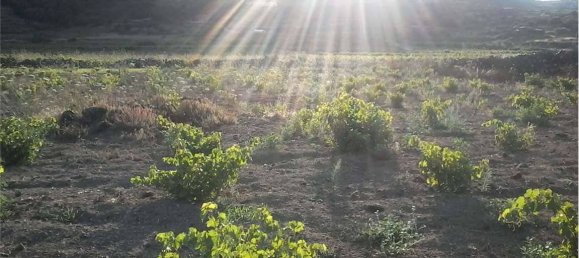 2-Zimmer Haus in Pantelleria, Italy, Nr. 49621 4