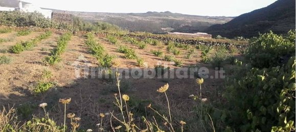 2-Zimmer Haus in Pantelleria, Italy, Nr. 49621 3