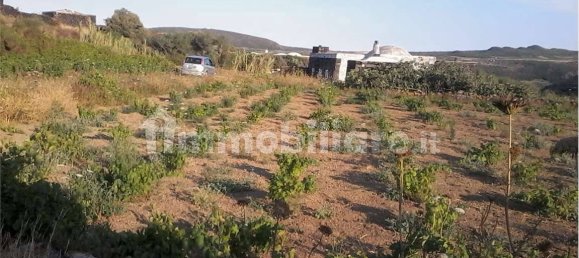 2-Zimmer Haus in Pantelleria, Italy, Nr. 49621 7