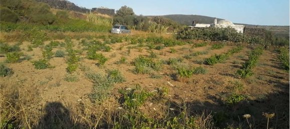 2-Zimmer Haus in Pantelleria, Italy, Nr. 49621 6