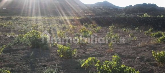 2-Zimmer Haus in Pantelleria, Italy, Nr. 49621 5