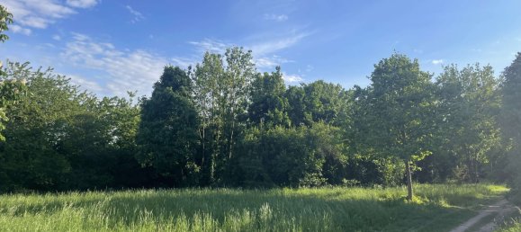 3 bedrooms Bungalow in Wiesbaden, Germany No. 318933 22