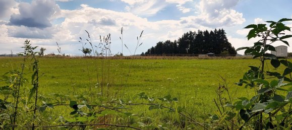 Casa de 5 habitaciónes en Main-Kinzig, Germany No. 238344 22